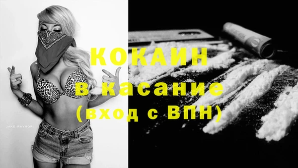 крисы Беломорск